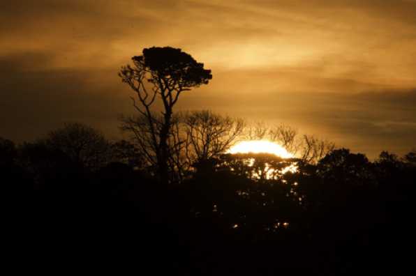 30 April 2022 - 06-27-31
Within a few days that tree should get silhouetted behind the big yellow ball. Well, it will if there's no cloud.
----------------
Sunrise over Kingswear